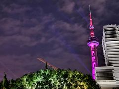 -上海小南国(正大店)