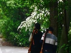 -龙潭水乡