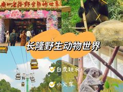 -广州长隆旅游度假区