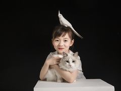 -中粮·祥云小镇