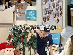 -美联众合动物医院·24h京西诊疗中心