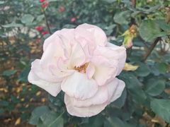 -人民公园(罗湖区)