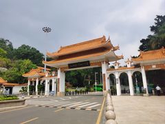 -深圳仙湖植物园