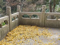 -雨花胜境