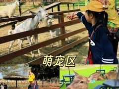 -盈香心动乐园