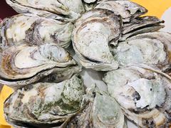 桑拿蚝-蚝专家(北滘店)