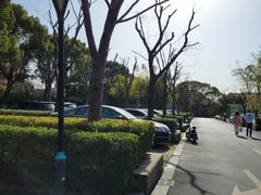 -复旦大学附属华山医院(浦东院区)