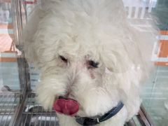 -暖阳宠物医院·犬猫康复中心·骨科