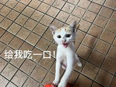 -丽丰食店(华丰花园店)