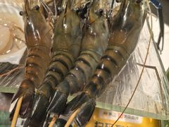 -Thai Basil罗勒叶泰式餐厅(时代天街店)