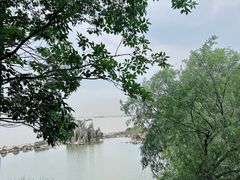 -上海吴淞炮台湾国家湿地公园