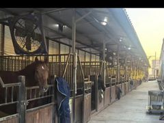-多维国际马术俱乐部(118广场店)