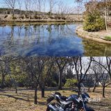 🏕️上海露营|骑着机车去㊙️密野营地CAMPING！
