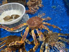 -盒马鲜生(顺义店)