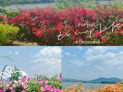 -福建鲤鱼洲酒店