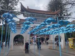 -翠湖公园