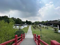 -富春茶社(国庆路店)