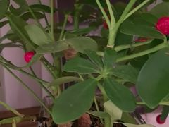 -香山湖渔家大院