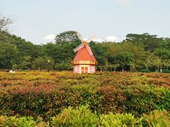 -东莞植物园