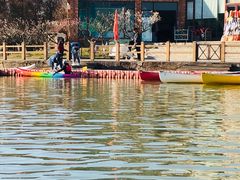 -上海海湾国家森林公园