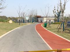 -上海长兴岛郊野公园