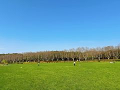 -宜兴龙背山森林公园