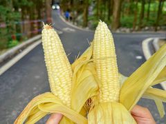 -山王坪喀斯特国家生态公园