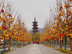 -龙华寺