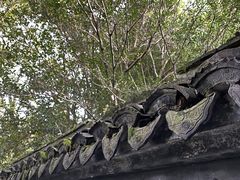 -秋霞圃