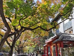-申德勒加油站西餐厅(日坛路总店)