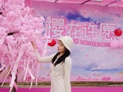 -盈香心动乐园