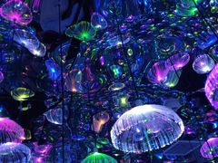 -天津梵高星空艺术馆(天河城旗舰店)