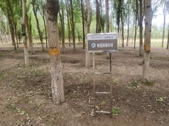 -东郊湿地公园