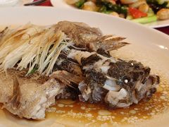 -利苑酒家(金宝店)