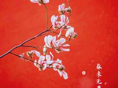 -东华门大街小区