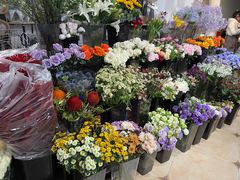 -ChaKo Flora ·茶子花艺 (市北店)