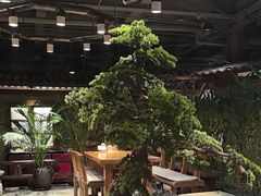 -丹江渔村(首都机场店)
