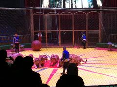 -西安秦岭野生动物园