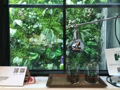 靠窗位-无牌咖啡&酒馆