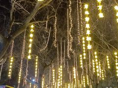 -秦始皇帝陵博物院-丽山园