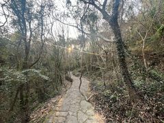 -伍山石窟