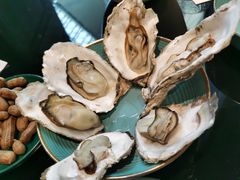 -海食焗(新光天地店)