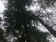 -贡湖湾湿地公园