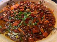 -陈麻婆豆腐总店