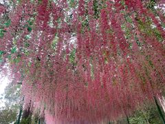 -东莞观音山旅游风景区
