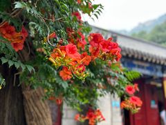 -青岛崂山太清宫