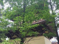 -庐山风景名胜区-东林大佛