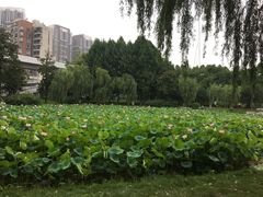 -堤角公园