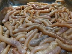 -星龙海鲜(望江东路店)