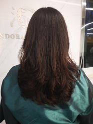 -潘多拉Hairsalon